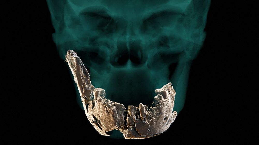 Archeologové objevili dosud neznámého předka člověka, podívejte se